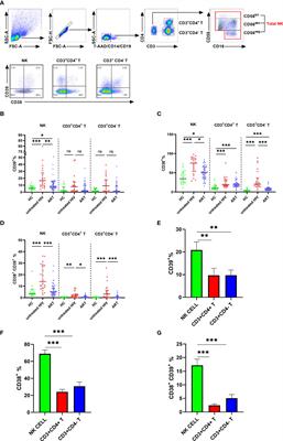 CD38+CD39+ NK cells associate with HIV disease progression and negatively regulate T cell proliferation